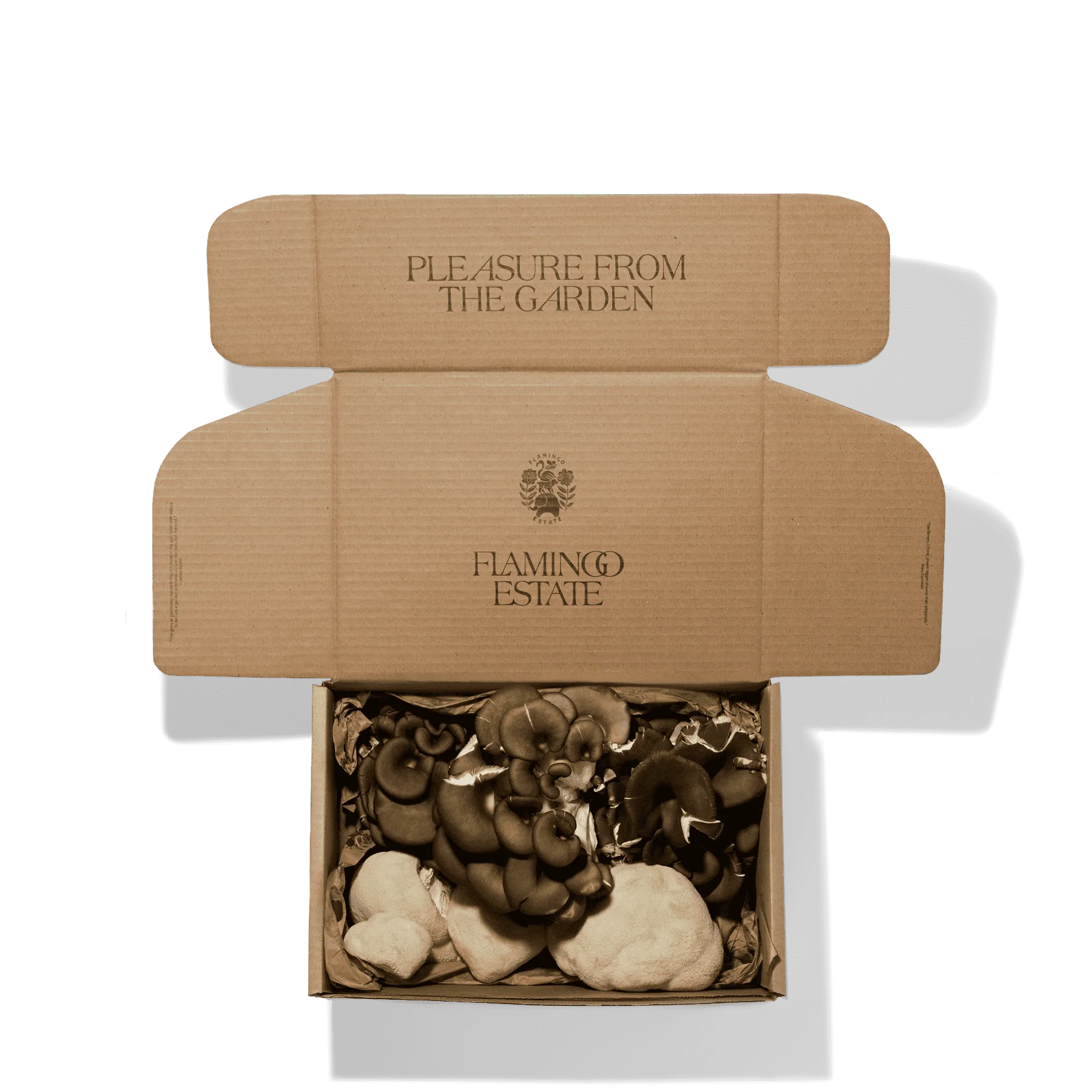 Organic Artisanal Mushroom Box - Image 3