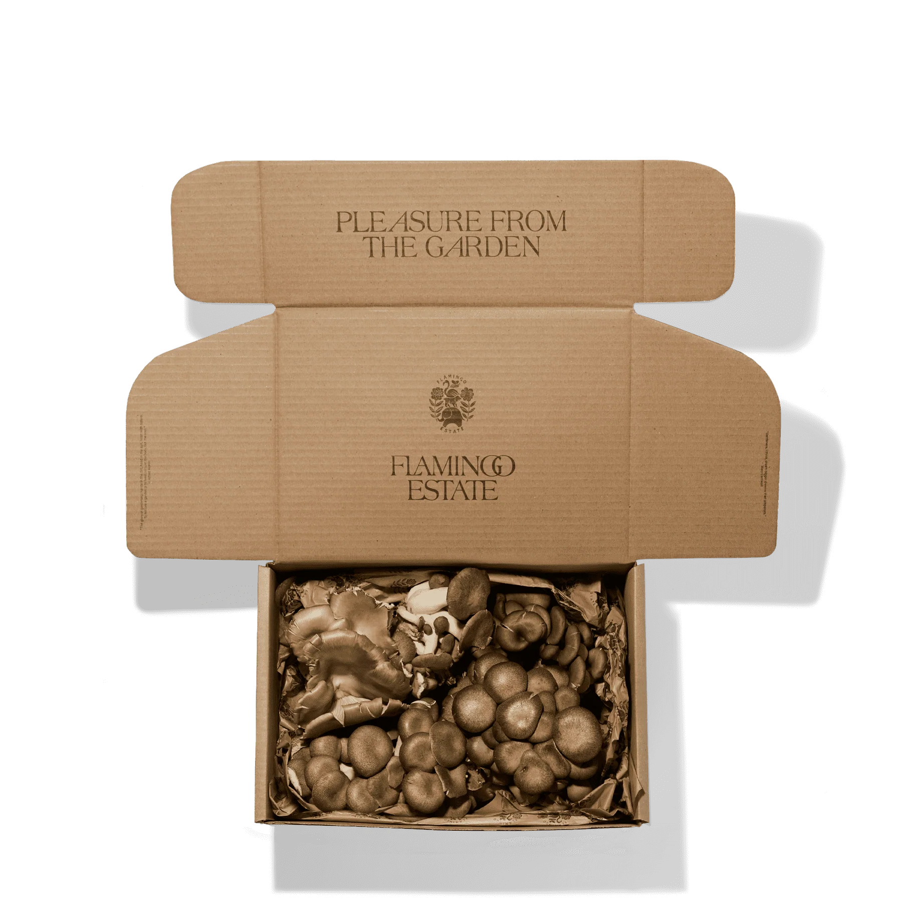 Organic Artisanal Mushroom Box - Image 4