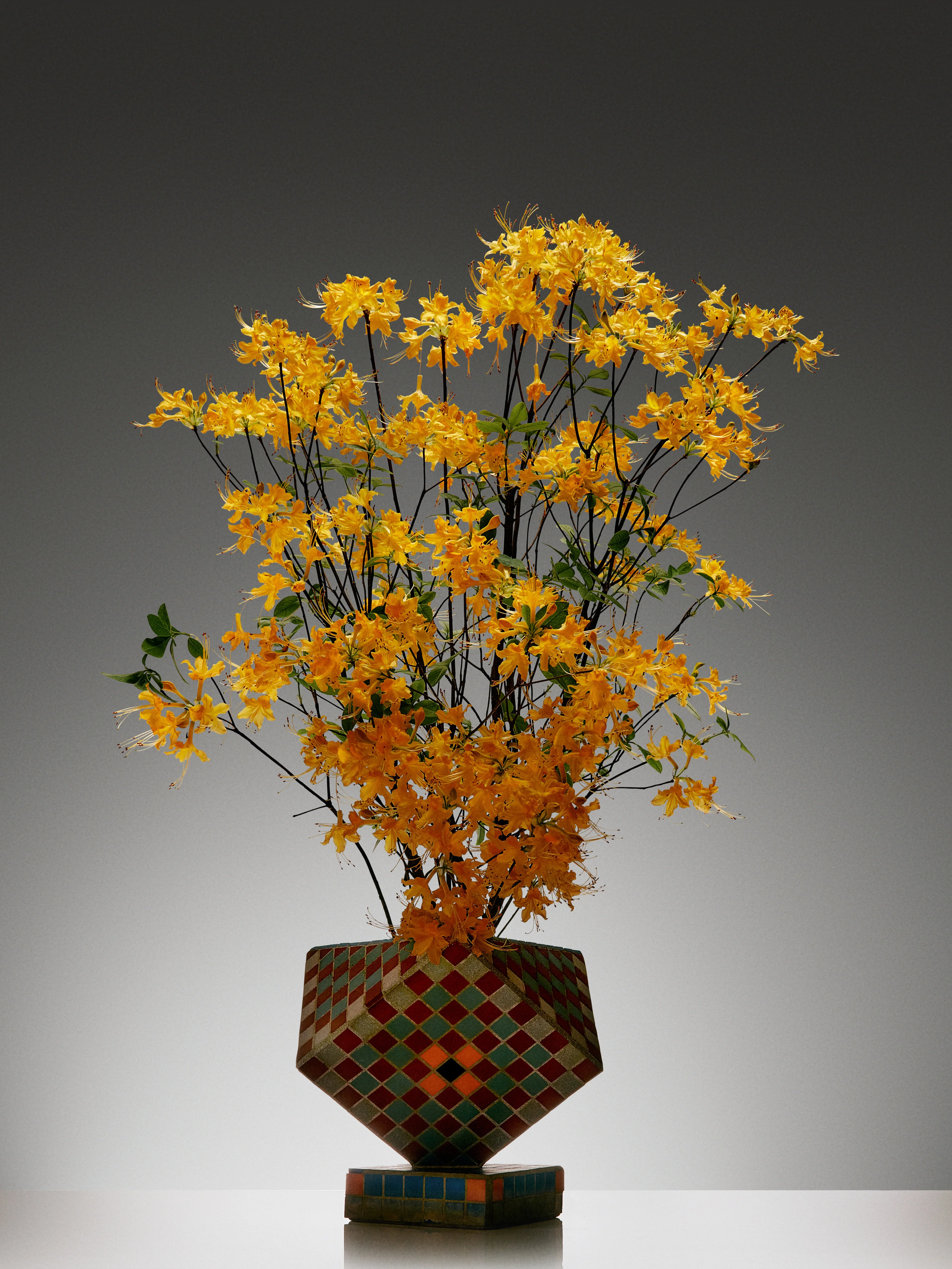 Golden Pollinator Candle - Image 10