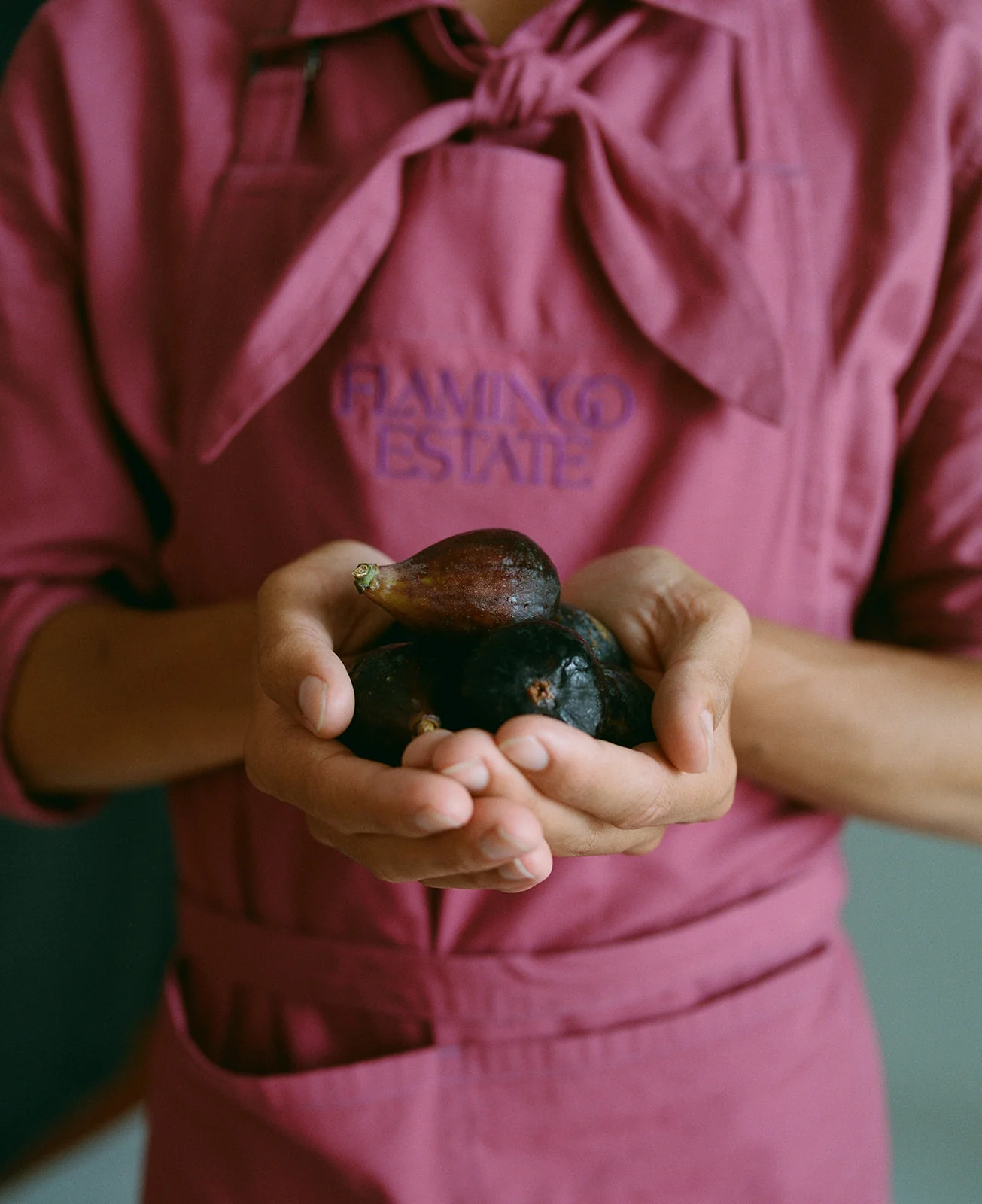 Noir Fig Balsamic Vinegar - Image 3