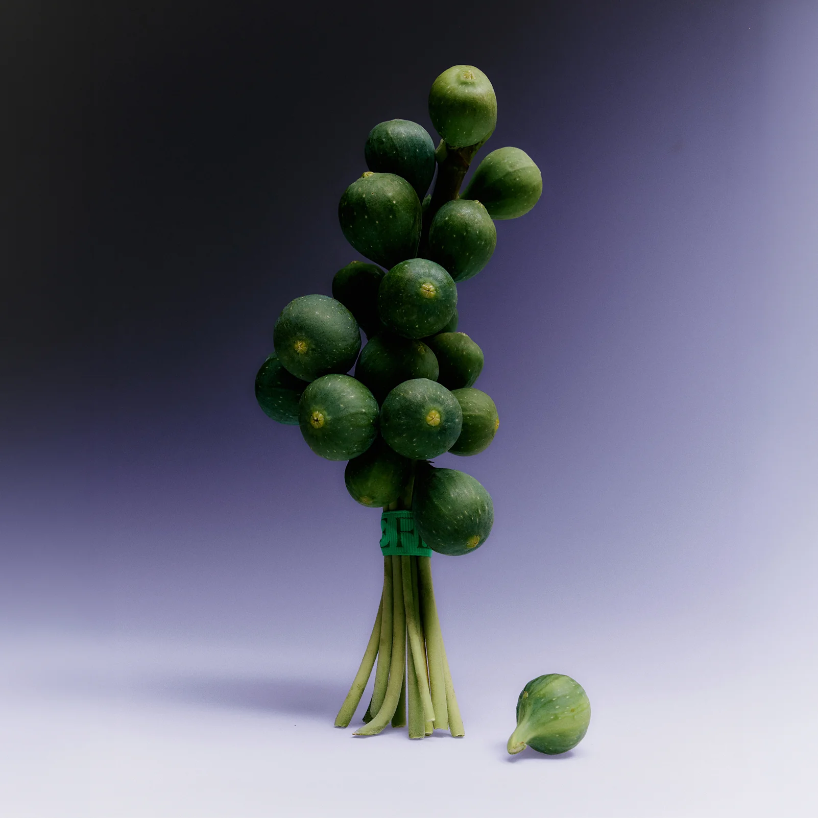 Sappho Fig Candle - Image 4