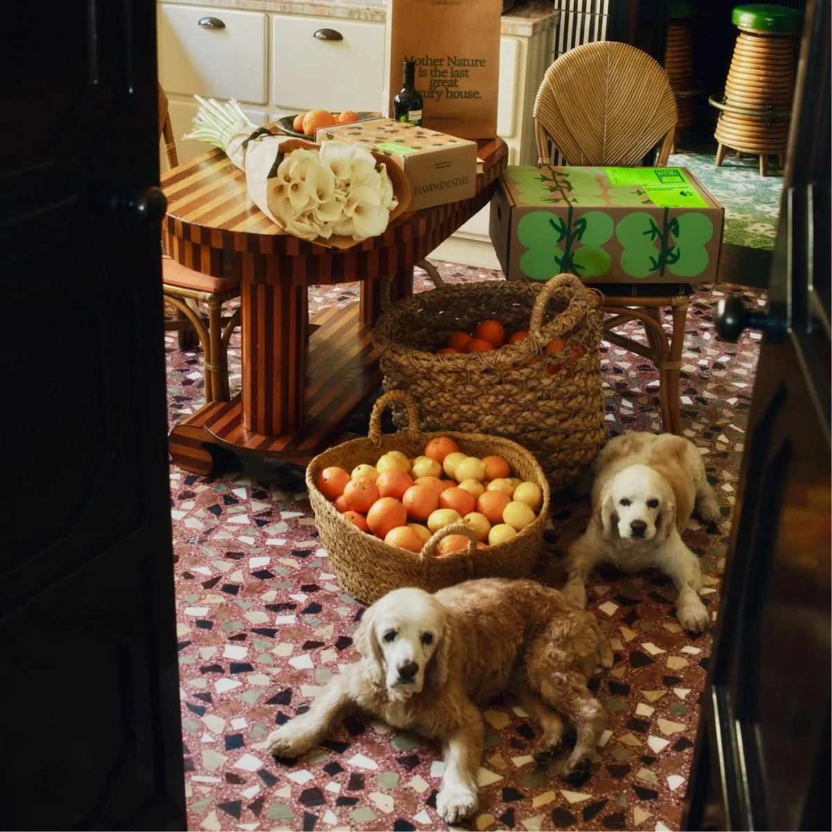 Secret Garden Box - Image 13
