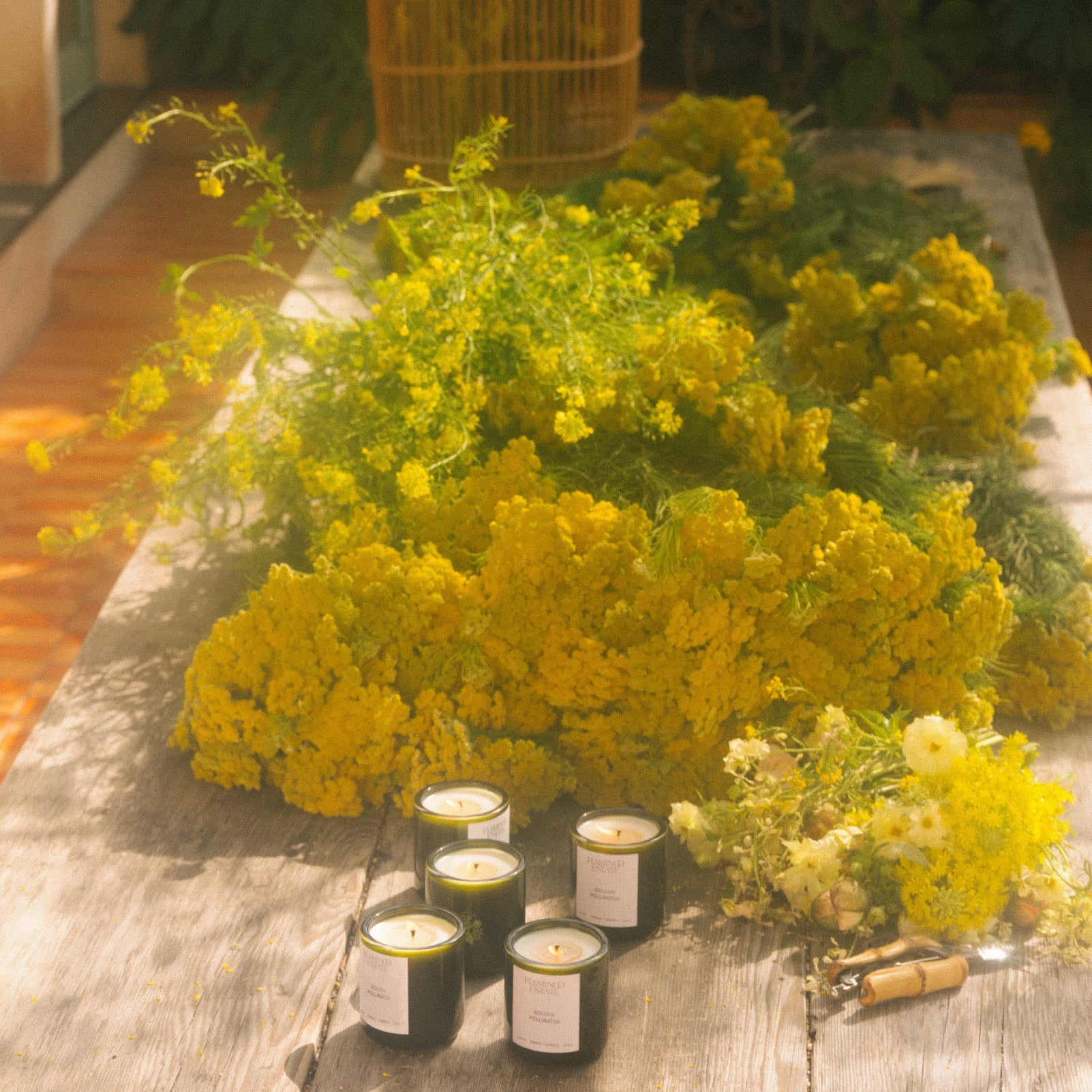 Golden Pollinator Candle - Image 7